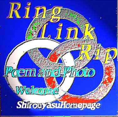 Ring Link Rip
